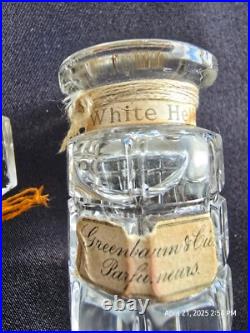 Vintage early 1900 red velvet perfume caddy with perfume bottles Vintage early 1900 red velvet perfume caddy with perfume bottles